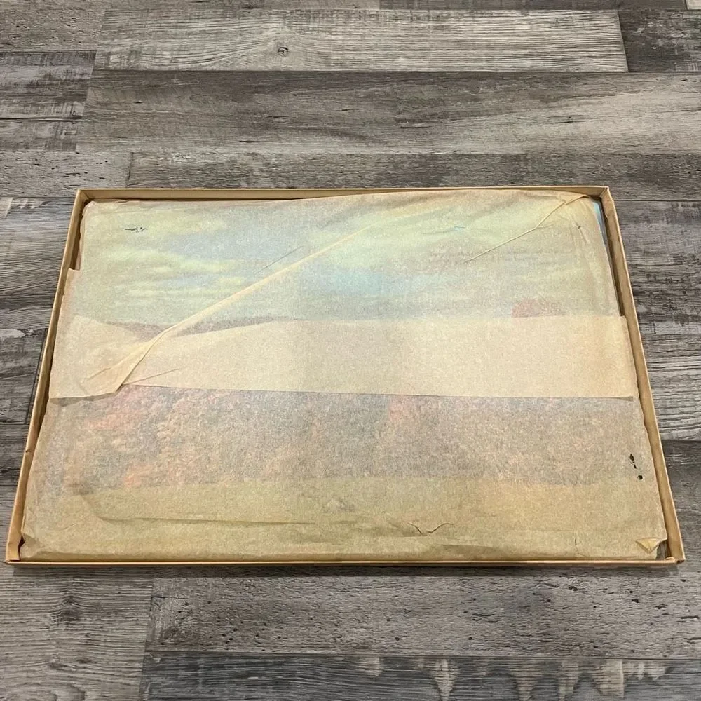 Set of 6 vintage permanent plastic coated inspirational placemats
